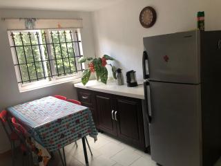 Lemon House - Rose Hill - 3