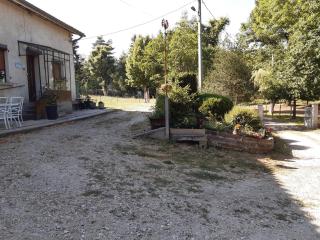 Les Marguerites Aux Lotz - Thiers - 0