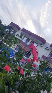 Rose Hotel B&B - Patara - 1