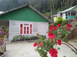 Vamoose Renu - Pedong - 0
