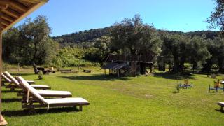 Honigtal Farmland - Agios Georgios Pagon - 4