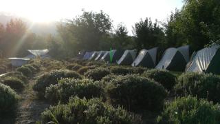 Lavander Garden Camping - Răscruci - 4