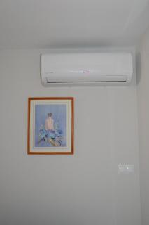 Provima Anis - Benidorm - 2