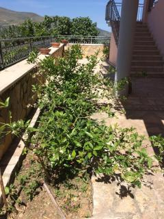 Guesthouse Villa Rosa Berat - 1