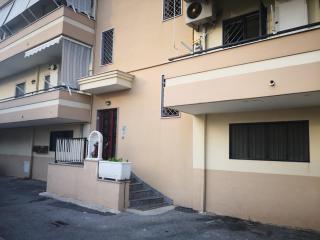 House of Flowers - 8