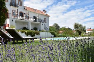 Casa nas Serras - Vila Nova de Poiares - 8