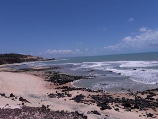 Tiny House - Pipa - 3