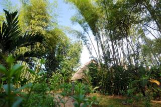 Naturalmente Boutique Bungalows y Cocina Mediterránea - 2