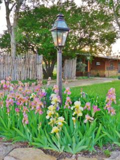 Mesa Verde Farm and Studio - 3