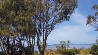 Lilacs Waterfront Villas & Cottages - 3