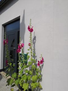 Balise en Baie - 5