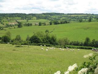 Gîte "L'Annexe du Parc" Sa Vue Splendide - 7