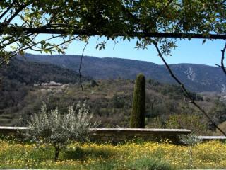 La Source à Bonnieux en Luberon - Bonnieux - 5