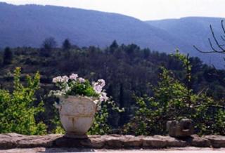 La Source à Bonnieux en Luberon - Bonnieux - 1