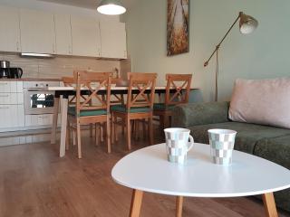 Apartament Monadin 3 - Brasov - 3