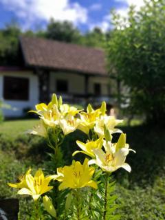 Holiday Home Nektar Park - Bihać - 7