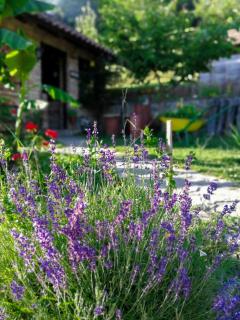 Holiday Home Nektar Park - Bihać - 3