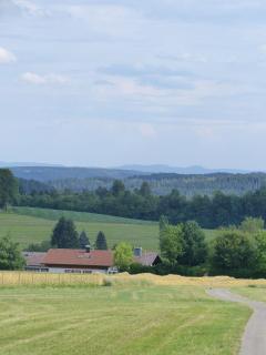 Landgasthaus Sonne - Freudenstadt - 1