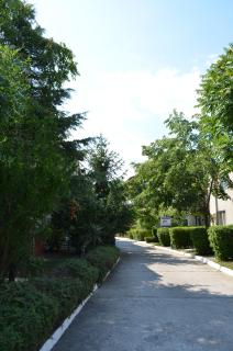 Bravo 1 Home George - Sunny Beach - 6
