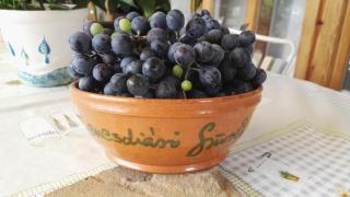 Dávid Vendégház - 1