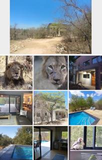 Lionsview Private Lodge - 6 Lions - 8