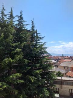 S.M Apartment Ohrid - Ohrid - 9