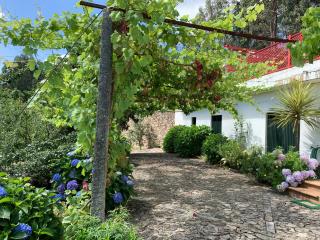 Vila Aurora - Parada de Gatim - 3