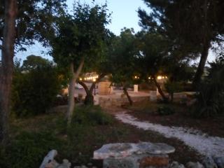 Masseria Chianca - Le rose - Mottola - 1