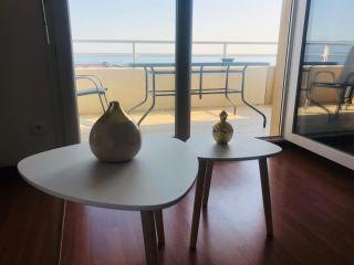 Superbe appartement 3 étoiles Ajaccio début Sanguinaires - Ajaccio - 3