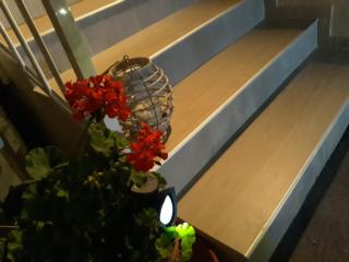 Eleni Apartment - Pigi - 7