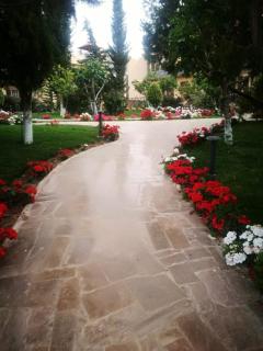 Al Wadi Touristic Resort - Ash Shafa - 7