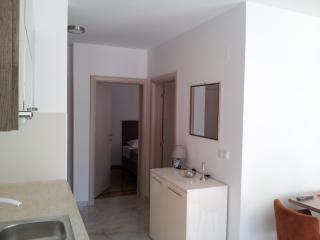 Apartmani MITIĆ - Veliko Gradiste - 3