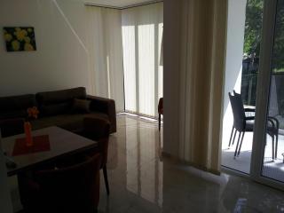 Apartmani MITIĆ - Veliko Gradiste - 2
