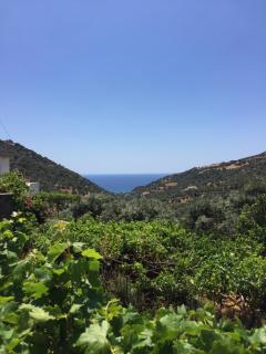 Saint George Hotel - Rodakino - 8
