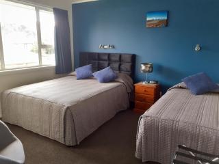 AAA Thames Court Motel - Oamaru - 1