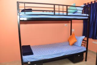 Tranquil Budget Room - Bhubaneshwar - 2