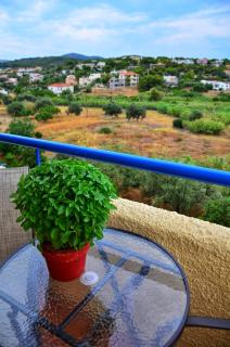 Vagia Beach Apartments, Aegina Island - Vagia - 4