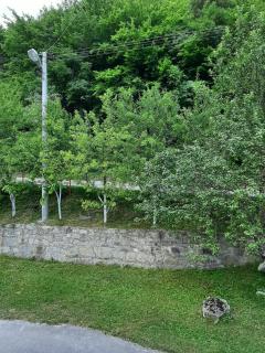 Demmir - Travnik - 1