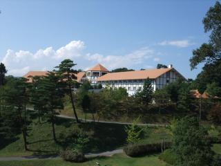 Forest Hotel Rochefort - Maniwa - 0