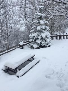 En pleine nature avec jardin - Les Blancs - 0