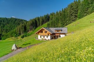 Almchalet Linharterhof - Haus im Ennstal - 0