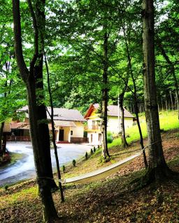 Pensiunea Valea Gepisului - Groşi - 1