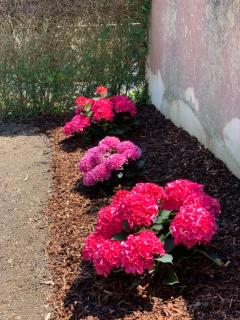 La maison des Légendes - Paimpont - 4