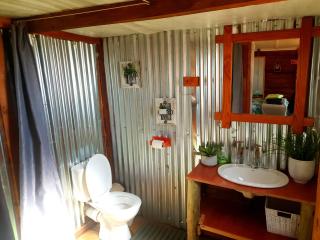 Dargle Forest Lodge - Dargle - 9