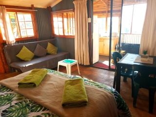 Dargle Forest Lodge - Dargle - 6