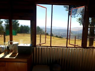 Dargle Forest Lodge - Dargle - 5