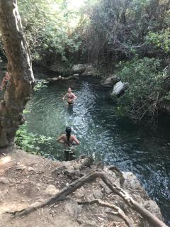 El Bosque, tu entrada a la Sierra Gaditana. - El Bosque - 6