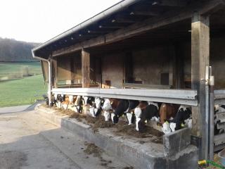Kreuzdellenhof Ferienzimmer - Hembach - 3