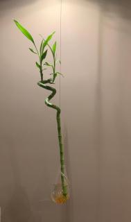 Eva suite Vip excellent studio 1 - Athens - 2