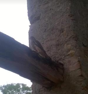 Cascina Carrata Casa Vacanze - 4